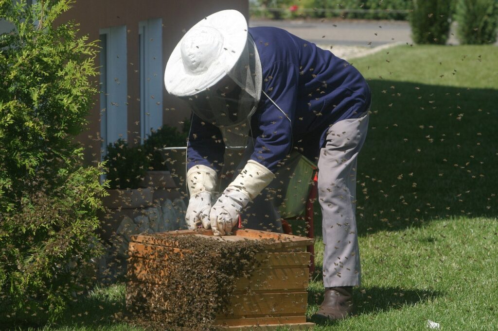 beekeeper, bees, garden-215185.jpg